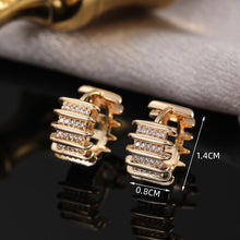 Load image into Gallery viewer, Ladies New Exquisite Fashionable Earrings