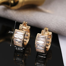 Load image into Gallery viewer, Ladies New Exquisite Fashionable Earrings