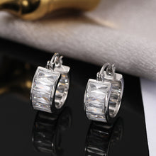 Load image into Gallery viewer, Ladies New Exquisite Fashionable Earrings